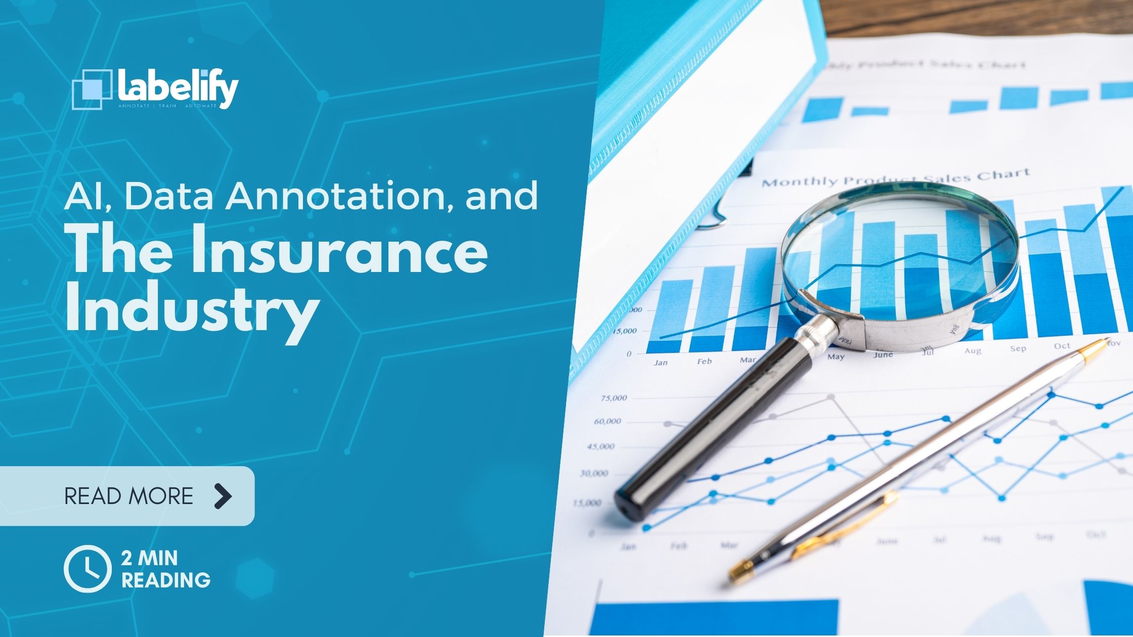 Data Annotation in insurance