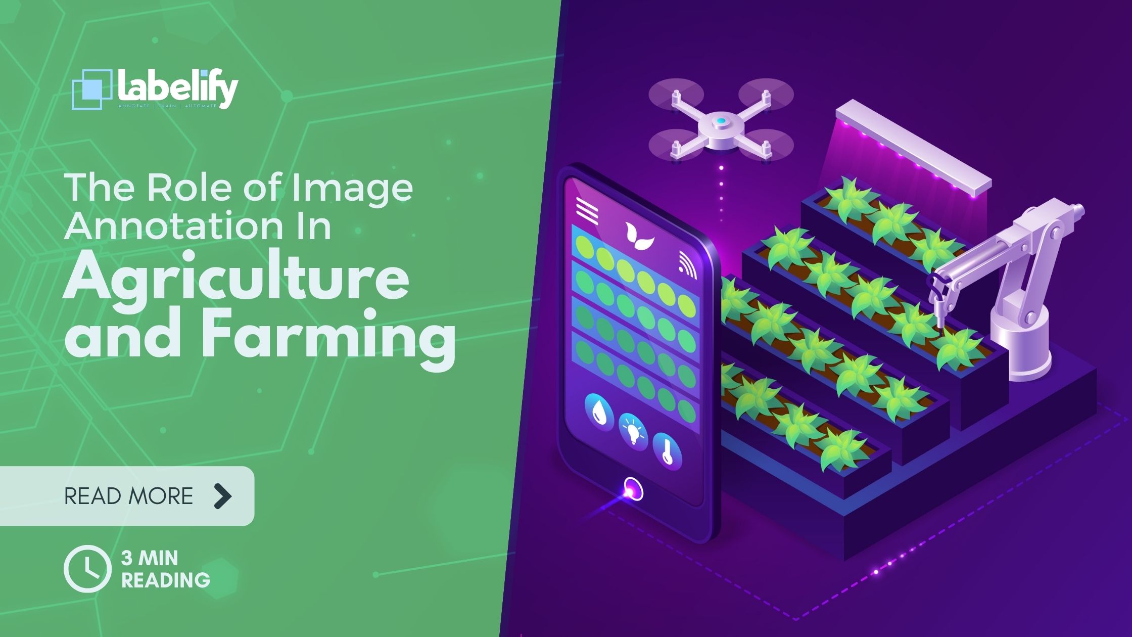 Image Annotation In Agriculture