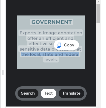 Government image annotation