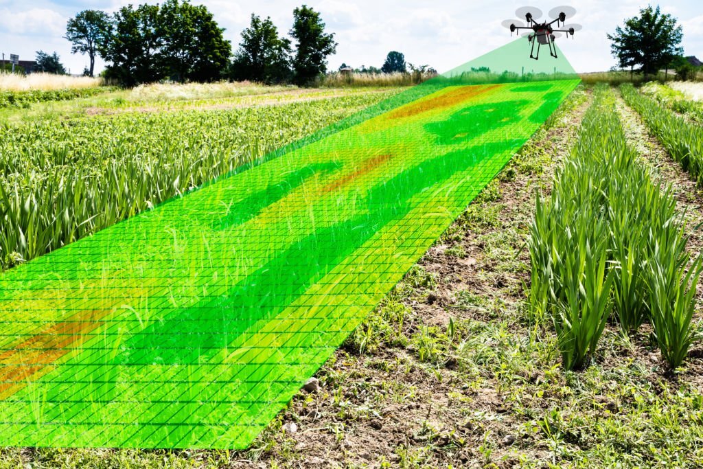 agriculture lidar annotation