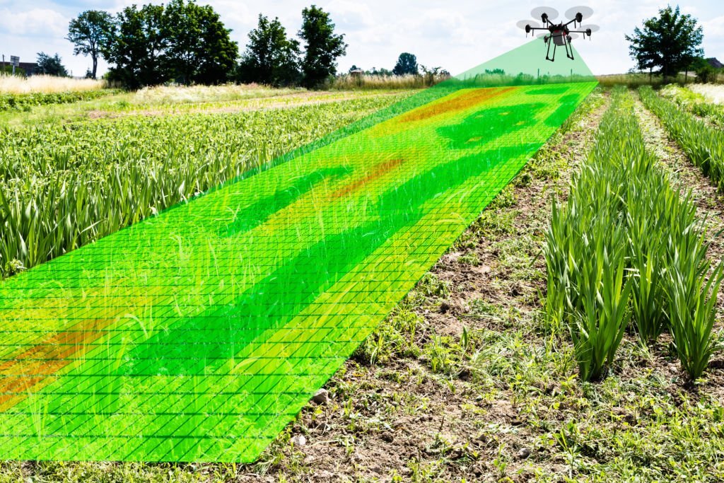 agricultura anotação lidar