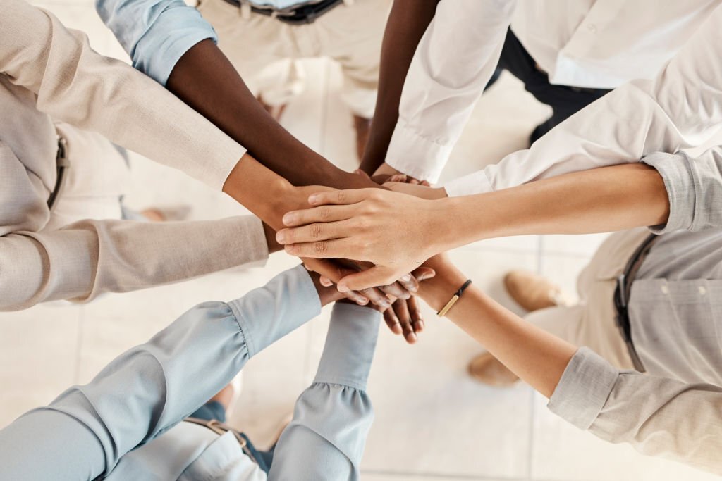 alliance partner partnership