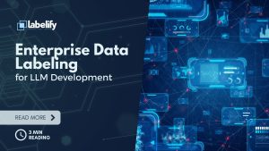 Enterprise Data Labeling for LLM Development